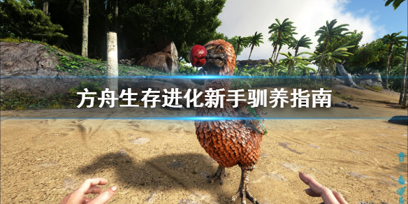 方舟生存进化新人怎么驯养（方舟生存进化新手怎么驯服）