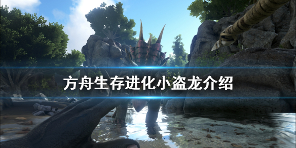 方舟生存进化小盗龙有什么用 方舟生存进化小盗龙怎么用