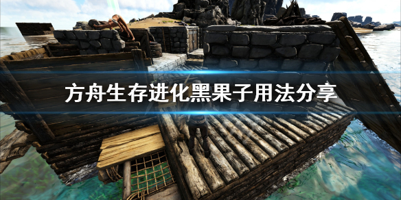 方舟生存进化黑果子与麻药哪个好 方舟喂黑果子会掉有效值吗?