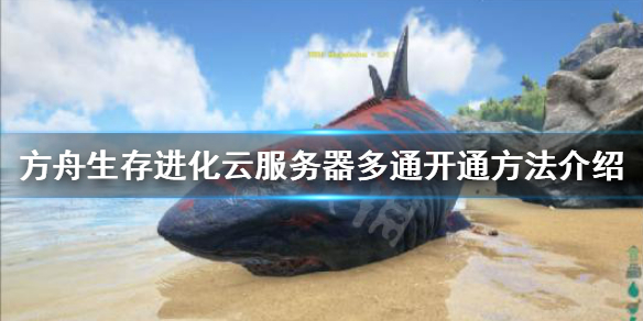 方舟生存进化怎么开服务器 方舟生存进化怎么开服务器要多少钱
