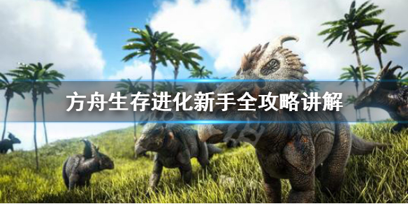 方舟生存进化新手怎么玩 方舟生存进化新手玩哪个地图