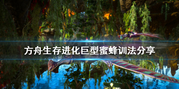 方舟生存进化巨型蜜蜂怎么训（方舟生存巨型蜜蜂怎么放）