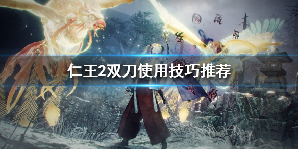 仁王2双刀怎么玩（仁王2双刀实用技能）