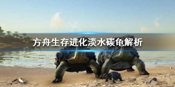 方舟淡水碳龟有什么用（方舟淡水碳龟怎么驯服吃什么）