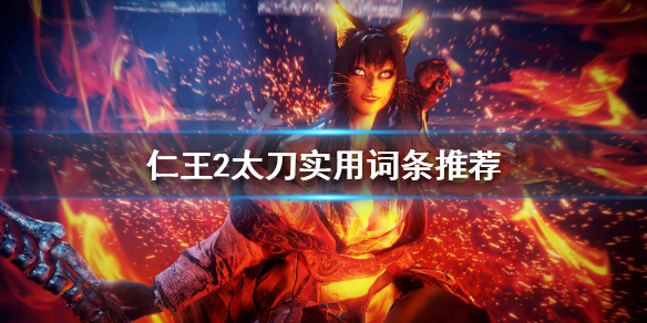 仁王2太刀用什么词条 仁王2太刀怎么配装