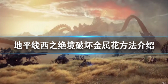 地平线西之绝境金属花如何破坏（地平线遗迹里面的金属花）