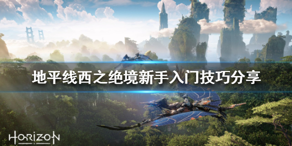 地平线2西部禁域前中期该怎么玩（地平线2 西部禁地）