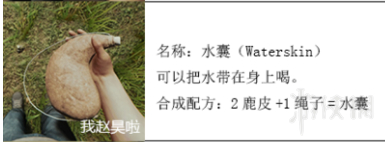 森林新手教程 森林新手开局推荐心得生存指南图文攻略 背景地图介绍