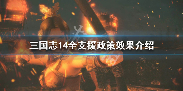 三国志14全支援政策效果介绍（三国志14威力加强版支援）