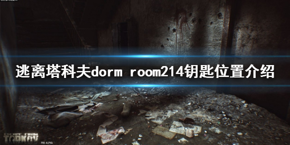 逃离塔科夫dorm 逃离塔科夫豆瓣