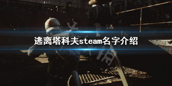 逃离塔科夫steam为什么搜索不到 逃离塔科夫在steam搜不到