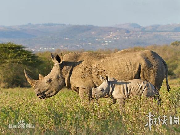 地平线黎明时分机械兽原型 地平线黎明时分机械兽是什么