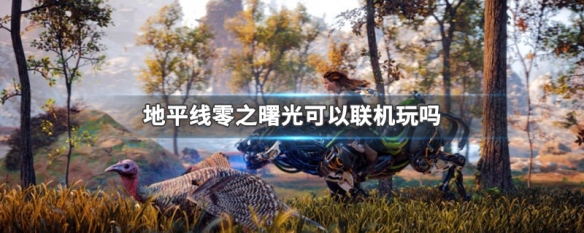 地平线零之曙光可以联机玩吗（ps4地平线零之曙光可以两个人一起玩吗）