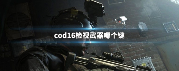 cod16检视武器哪个键（cod16检视武器哪个键手柄）