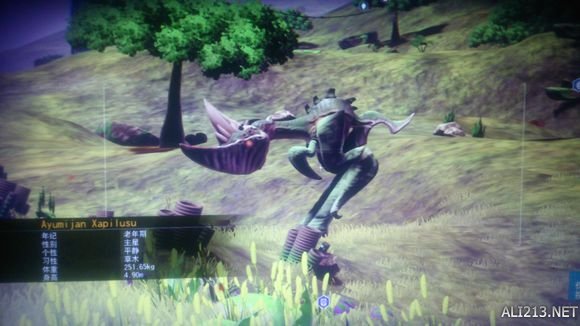 《无人深空》有趣生物一览（无人深空有怪吗）