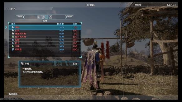 真三国无双8素材购买地点大全 全可购买素材村庄位置详解 鄱阳湖东侧村落_网