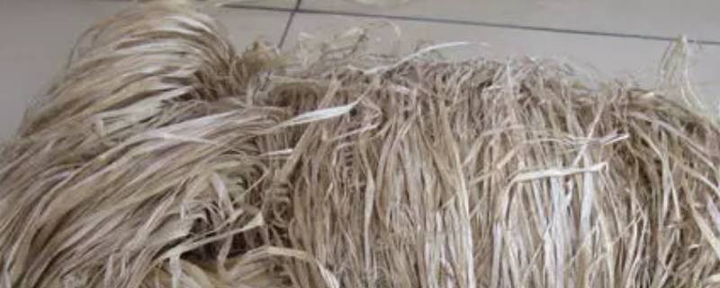 植物纤维是纯棉吗 100%植物纤维是纯棉吗