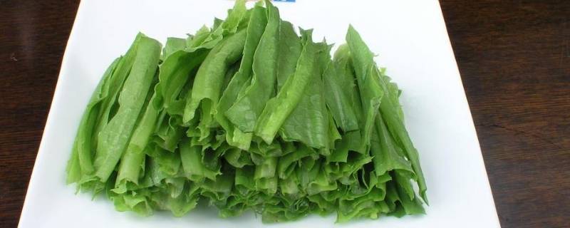 成都凤尾菜又叫什么（成都凤尾菜又叫什么名字）