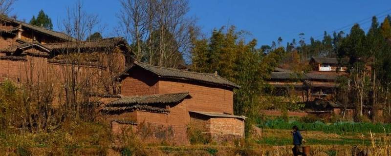 村里建个群叫什么名字（村里建个群叫什么名字适合?）