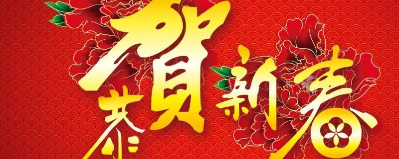 春节文化的收获和感悟（春节文化的收获和感悟作文）