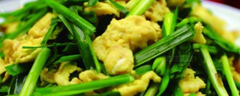 韭菜可以炒哪些东西（韭菜可以炒哪些东西吃）