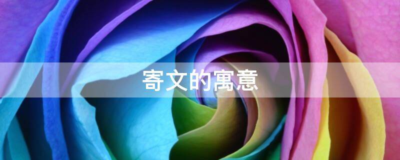 寄文的寓意（寄寓意思是什么）