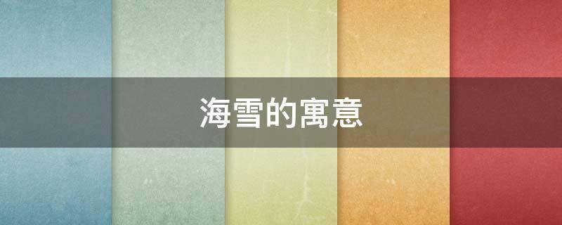 海雪的寓意 海洋雪的意思