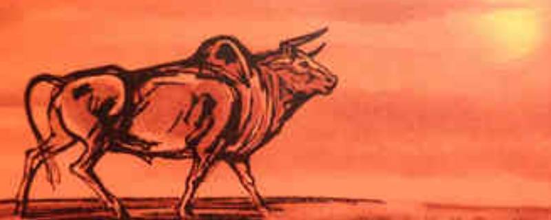 关于牛年的小知识（关于牛年的小知识简短）