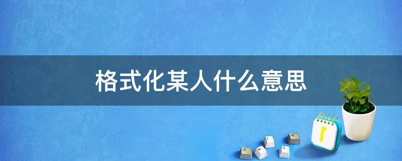 格式化某人什么意思 格式化某某人是什么意思