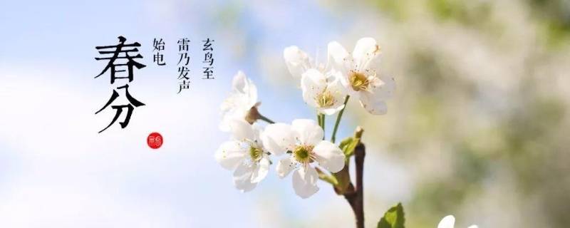 春分的由来 春分的由来简介