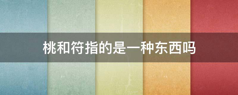 桃和符指的是一种东西吗（符中的桃和符指的是一种东西吗）