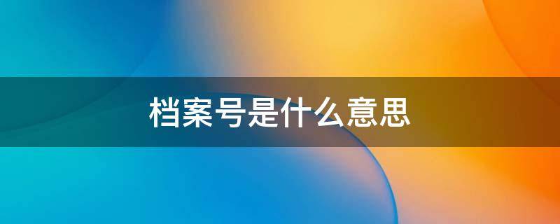 档案号是什么意思（档案号是什么意思怎么查询）