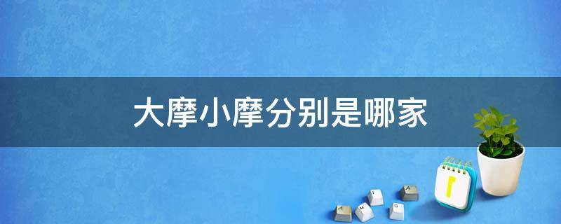 大摩小摩分别是哪家（大摩小摩哪个强大）