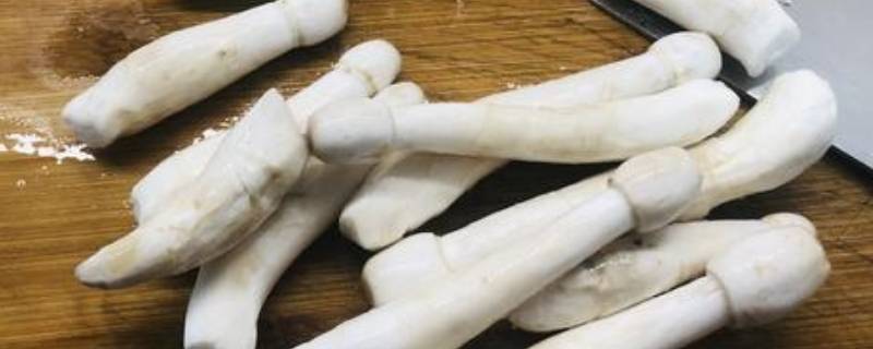 长蘑菇叫什么名字 常吃的20种蘑菇的种类图片