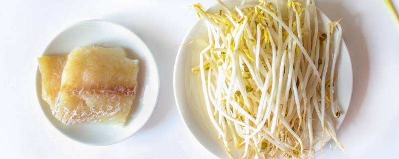 绿豆芽可以长多高 绿豆芽能长成绿豆吗