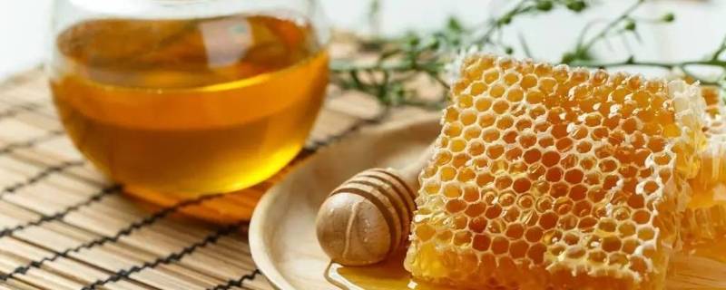 蜂蜜水要热水还是冷水泡 蜂蜜水要用热水还是冷水泡喝