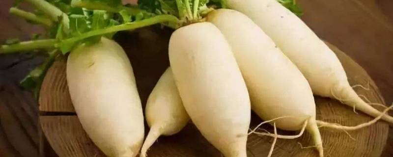 新鲜萝卜怎么保存的更久 新鲜萝卜怎么保存的更久呢