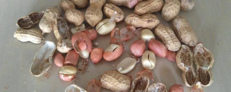 盐可以代替沙子炒花生吗 用盐可以炒花生吗