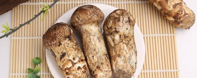 松茸冷冻后发黄还能吃吗（松茸冷冻后变黄变软可以吃吗）