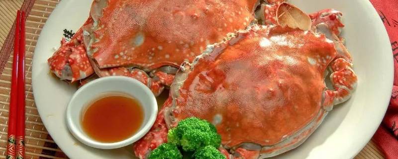 梭子蟹怎样挑选肥的（梭子蟹怎么挑肥）