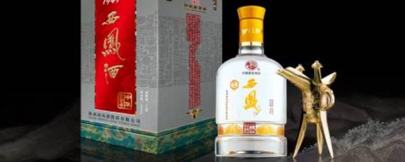 gb/t19508-2007是什么标准 gb/t19508–2007