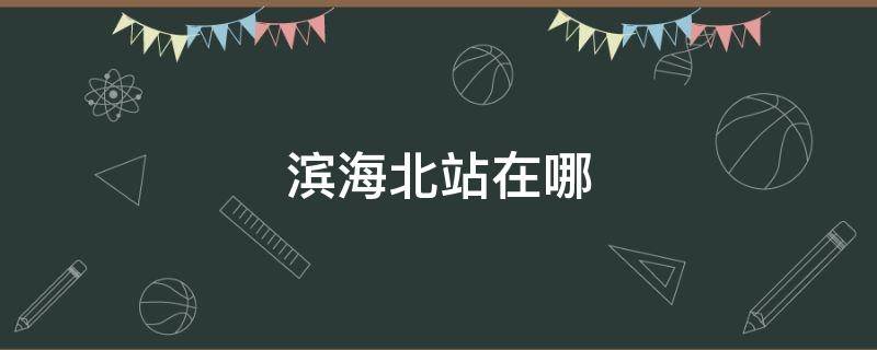 滨海北站在哪 滨海北站在哪个位置