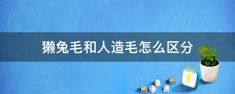 獭兔毛和人造毛怎么区分（獭兔毛和人造毛怎么区分真假）