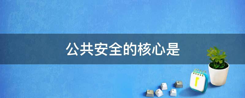 公共安全的核心是（公共安全的核心是否包含财产安全）
