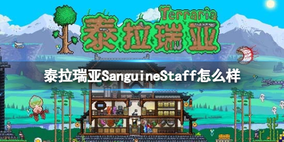 泰拉瑞亚SanguineStaff怎么样（泰拉瑞亚sanguine staff）