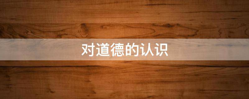 对道德的认识（个人对道德的认识）
