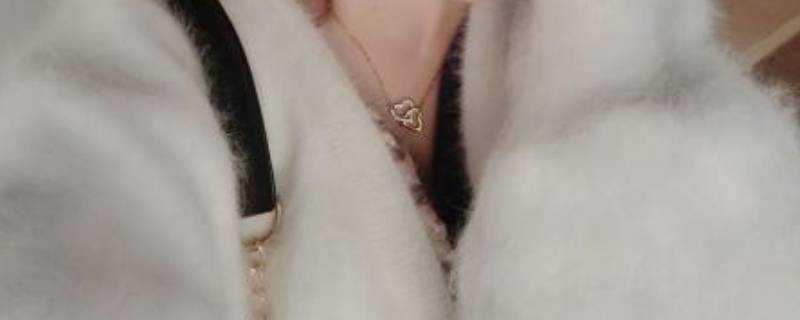 貂绒毛衣掉毛很厉害怎么处理 貂绒毛衣掉毛很厉害怎么处理干净
