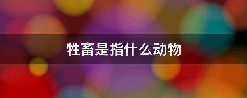牲畜是指什么动物 家禽是指什么动物