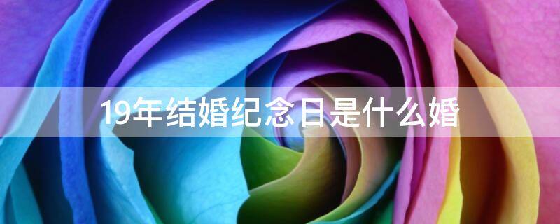 19年结婚纪念日是什么婚 19年结婚纪念日是什么婚翻译