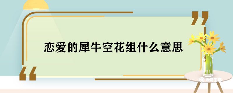 恋爱的犀牛空花组什么意思 恋爱的犀牛空花组是什么